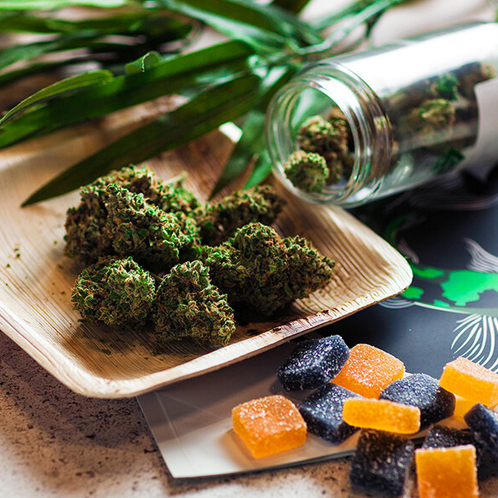 south michigan dispensary
