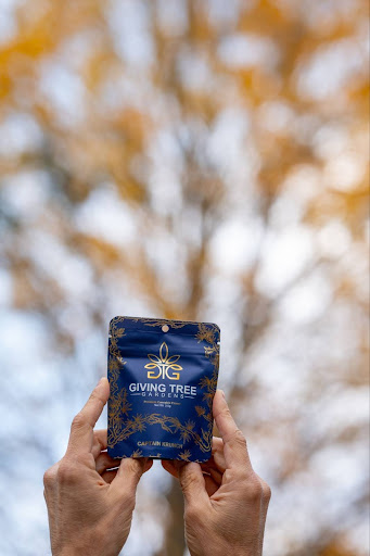 person holding up giving tree gardens cannabis product with tree backdrop