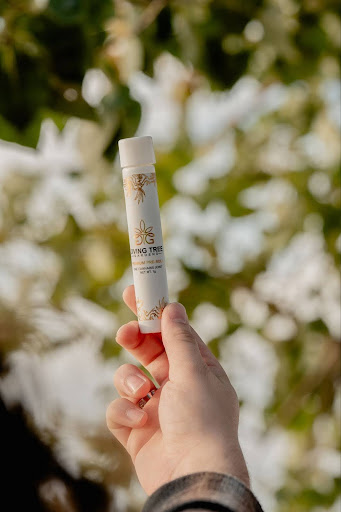 person holding up giving tree cannabis pre roll tube over a flower backdrop